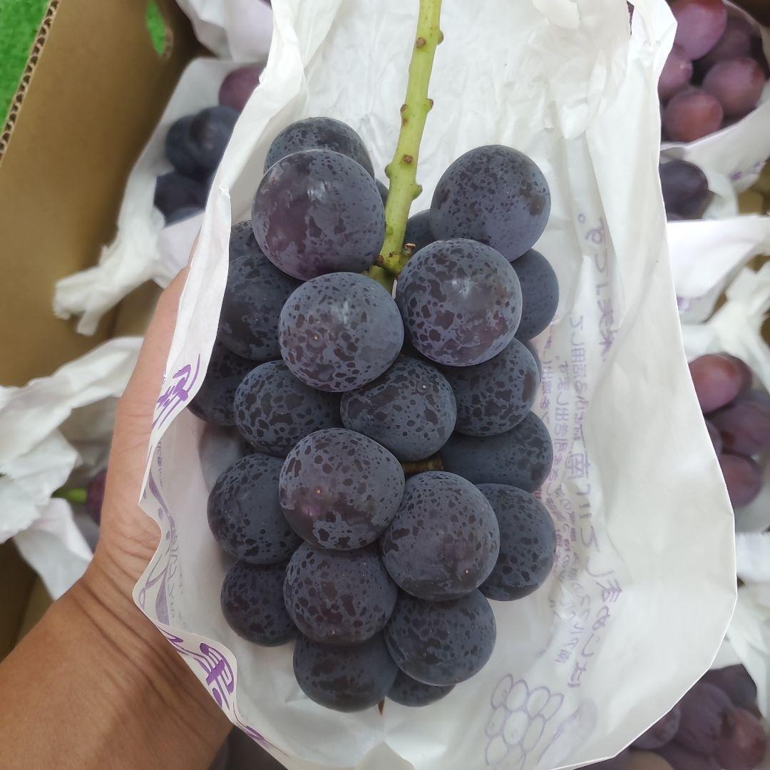 8️⃣ 山梨県産 種無しピオーネ９房 箱込み5.5キロ