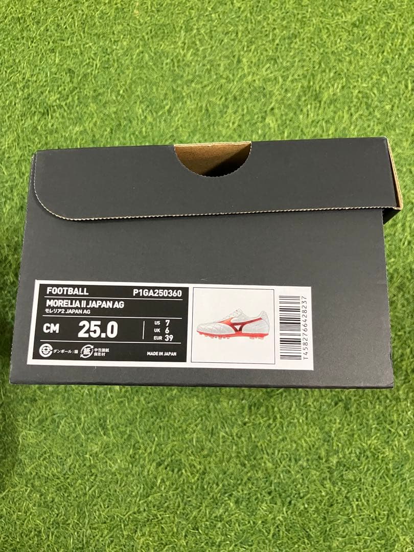 【限定品】モレリア2JAPAN AG 25.0cm