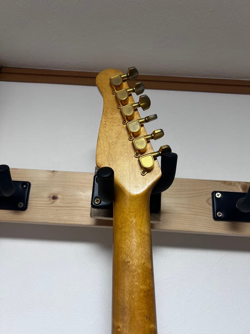 Godin エレキギター