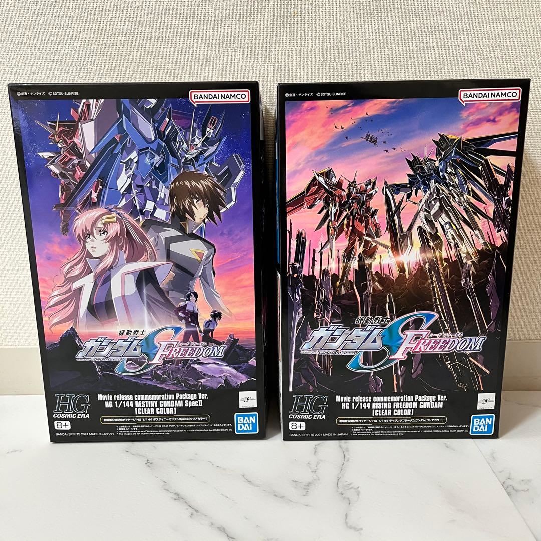 劇場版公開記念パッケージ ＨＧ 1/144 ２点セット