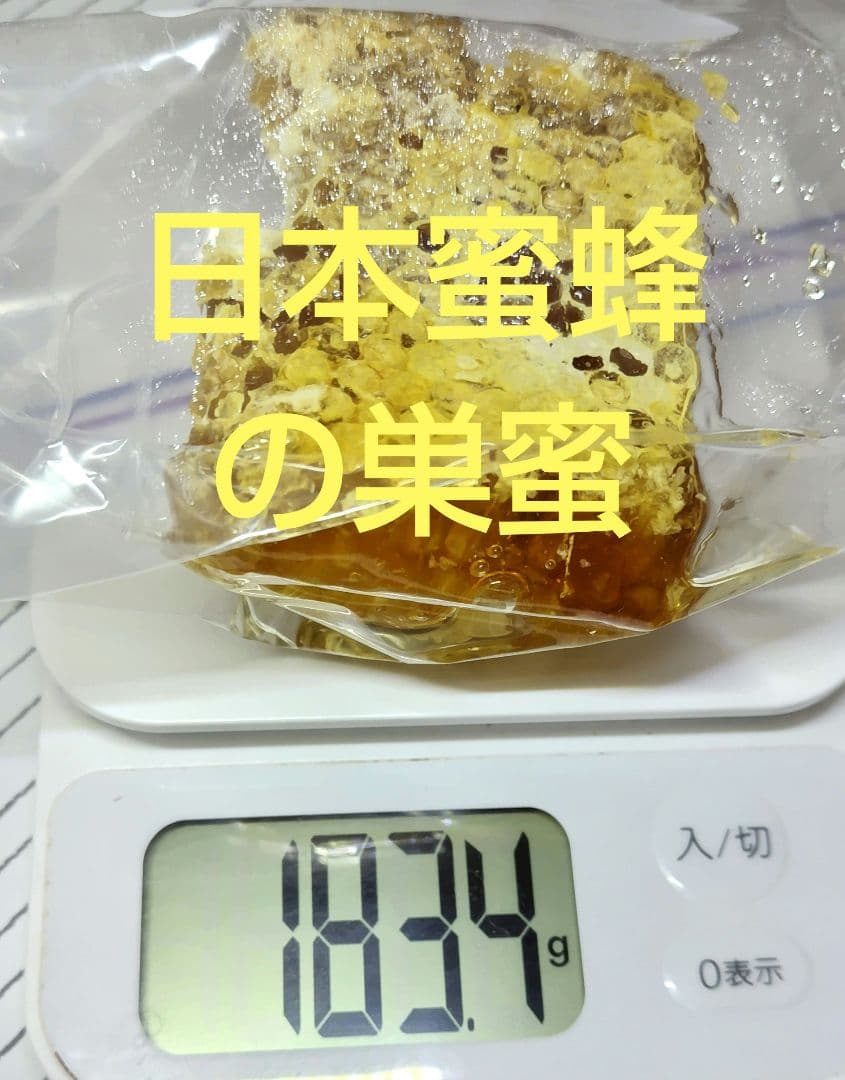 日本みつばち採りたて(生巣蜜、蜂蜜)183g＋600g×2本#8　　　　宮城県産