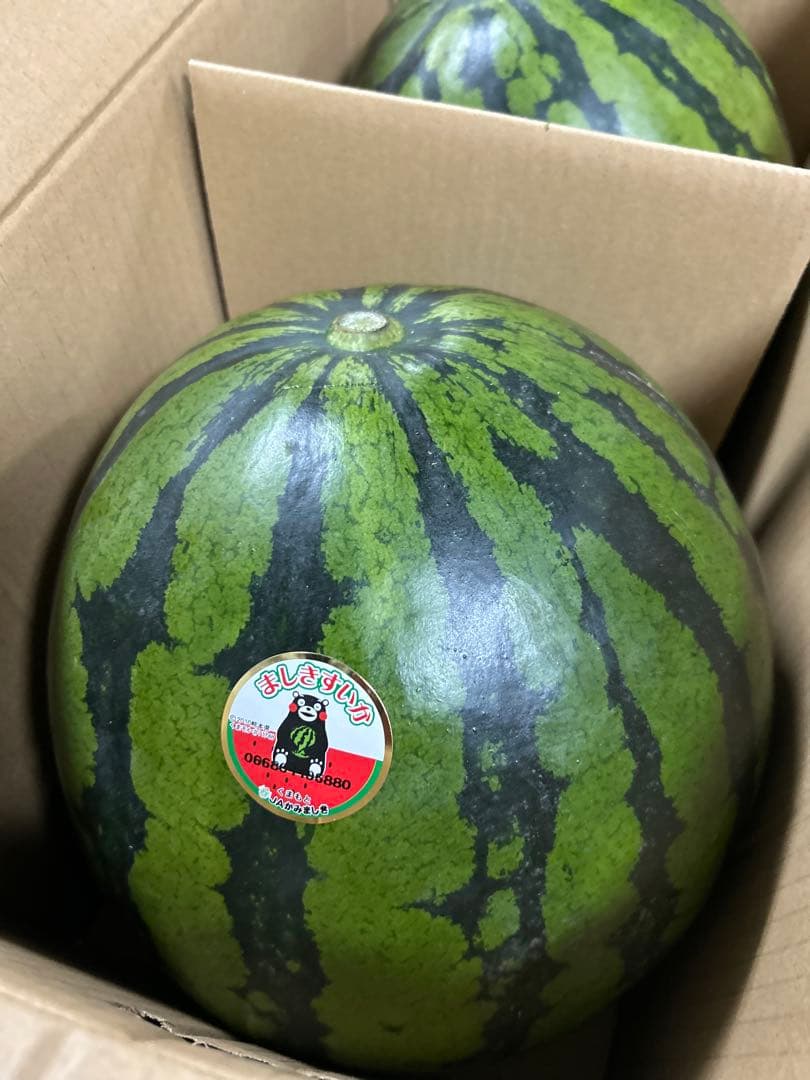 熊本県スイカLサイズ2玉入り　約14kg