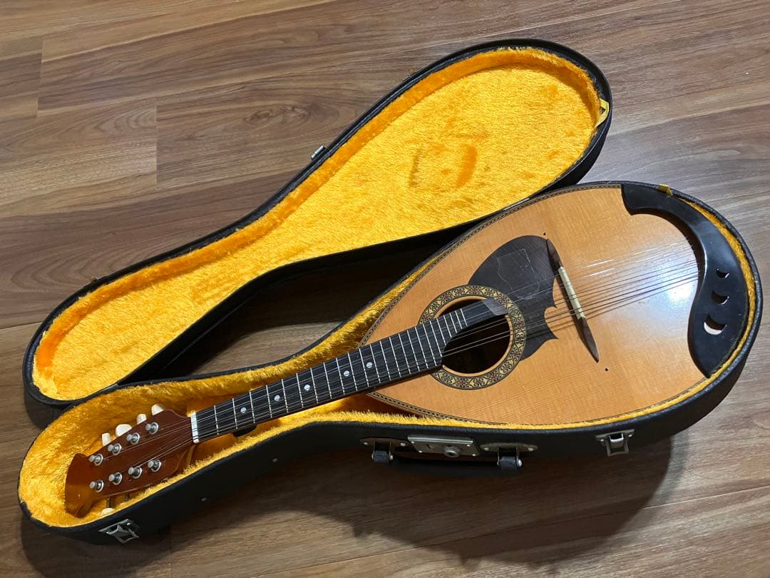 マンドリン　M-210 ハードケース付き　弦楽器　SUZUKI VIOLIN