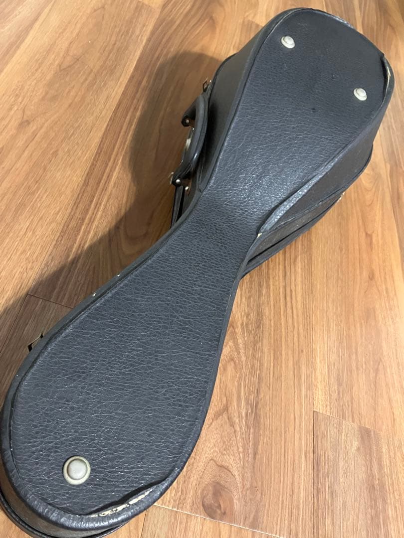 マンドリン　M-210 ハードケース付き　弦楽器　SUZUKI VIOLIN