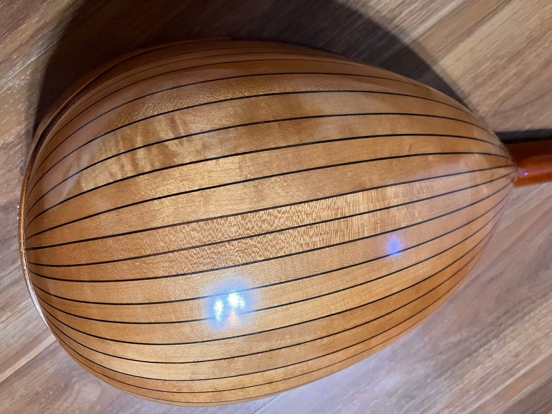 マンドリン　M-210 ハードケース付き　弦楽器　SUZUKI VIOLIN