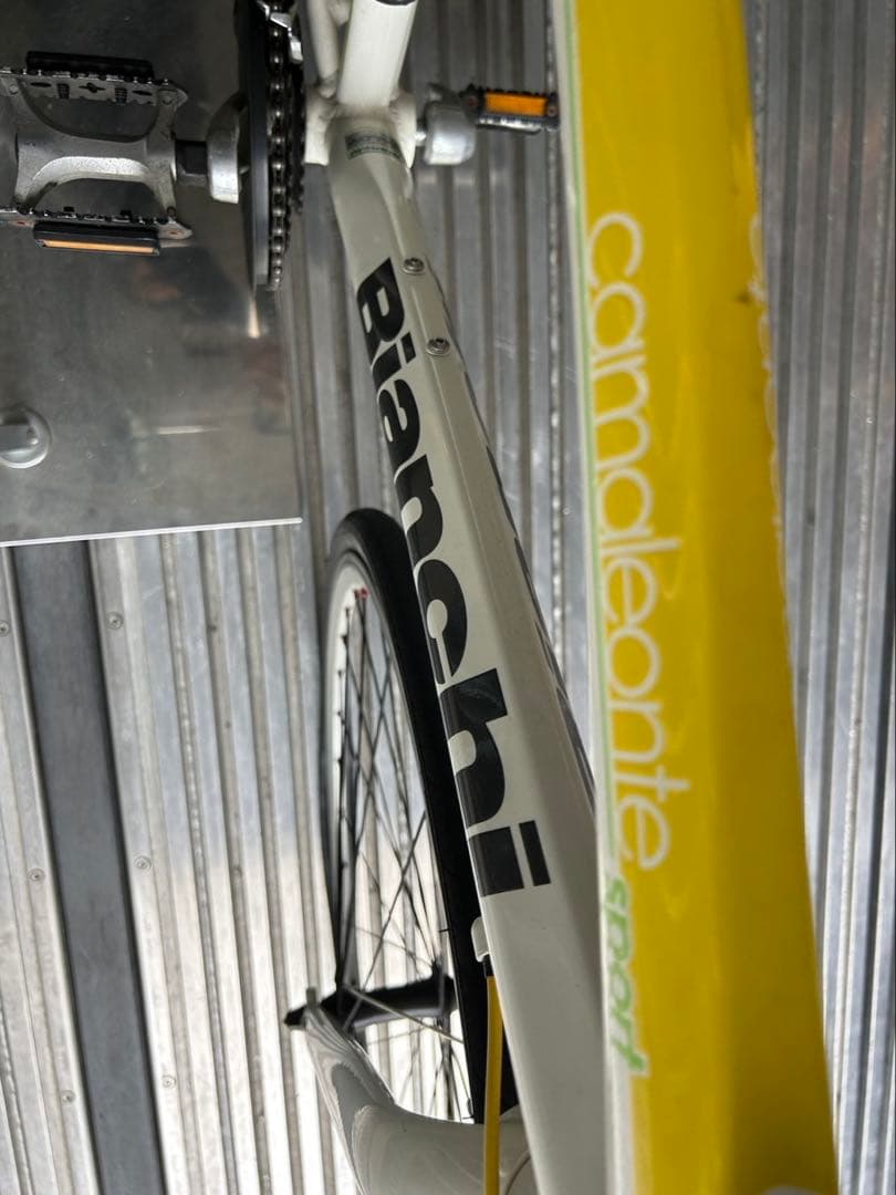 引き取り可能 Bianchi ビアンキ　カメレオンテ