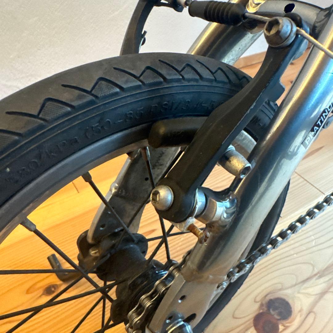 RENAULT(ルノー) PLATINUM LIGHT6