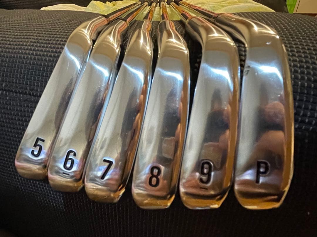 ゆうや Xフォージド 2024 6本 ダイナミックゴールド