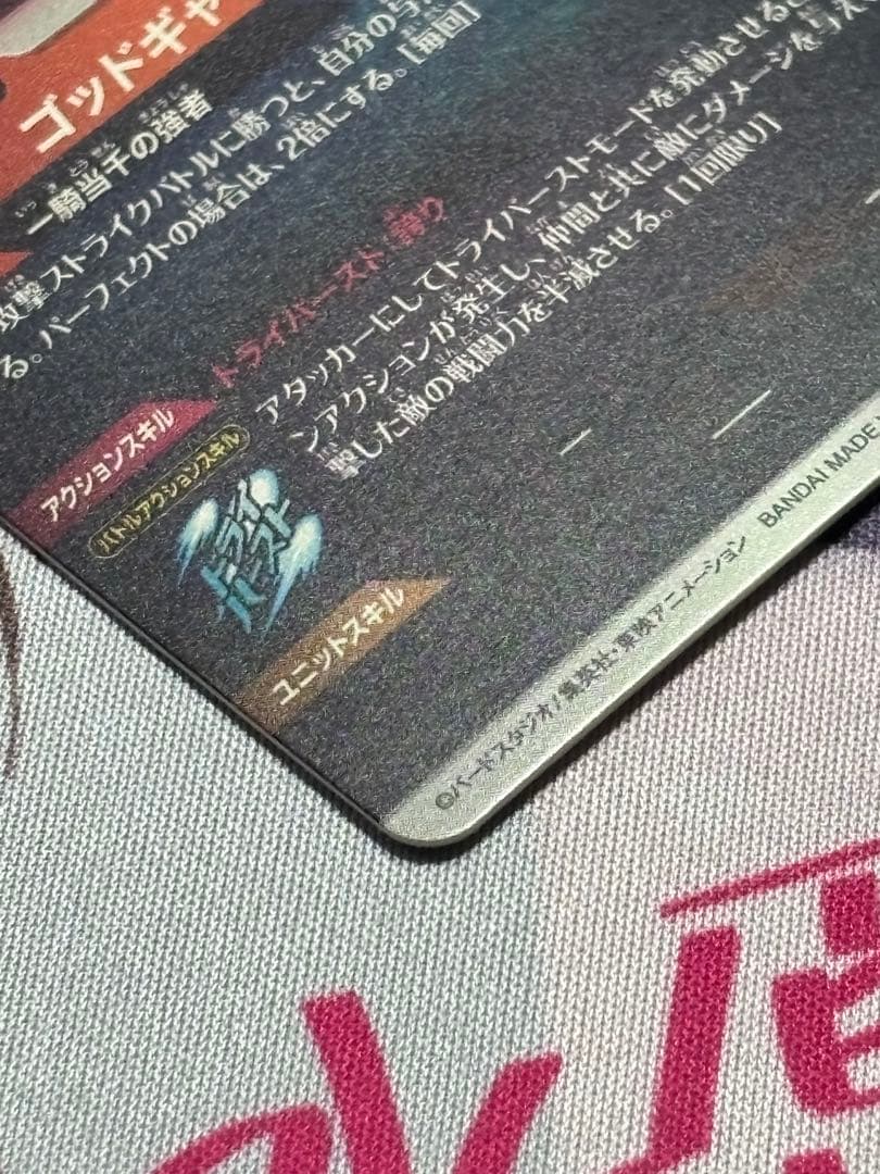 か*！様 SDV1-010 パラレル