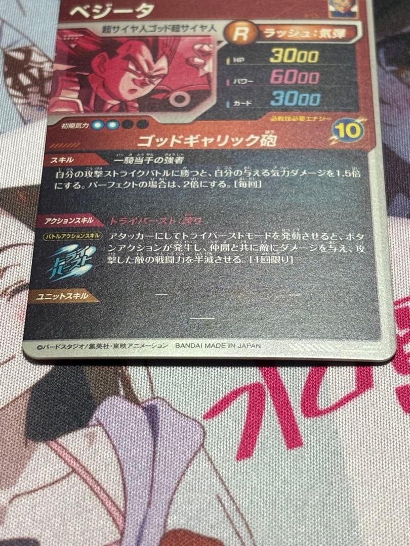 か*！様 SDV1-010 パラレル