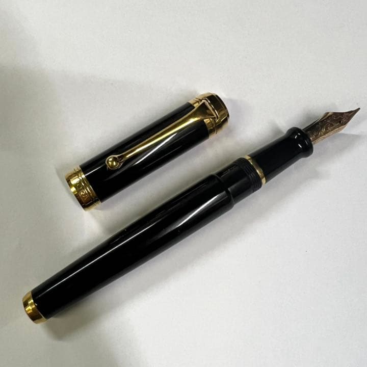 AURORA アウロラ タレンタム D12Nゴールドブラック 中字 M