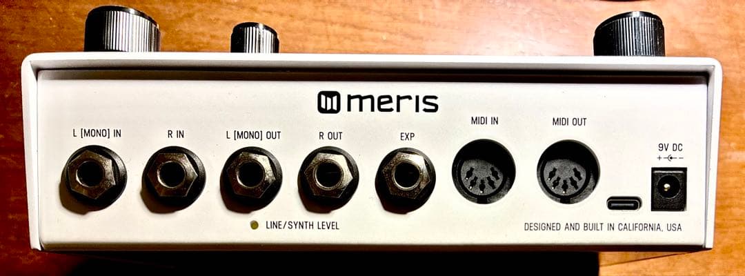 ギター Meris LVX