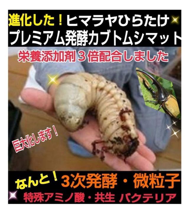 ギネスサイズ実績！特選プレミアム3次発酵カブトムシマット【6袋】特殊アミノ酸配合