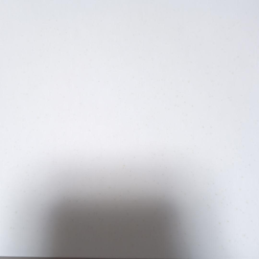 Y*Y様 五等分の花嫁パートナーコレクション 記念額装絵12ヶ月分 Anique