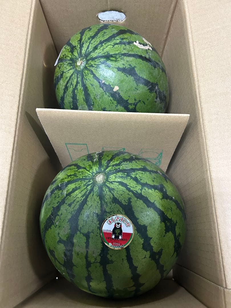 熊本県スイカ優Lサイズ2玉入り　10kg以上