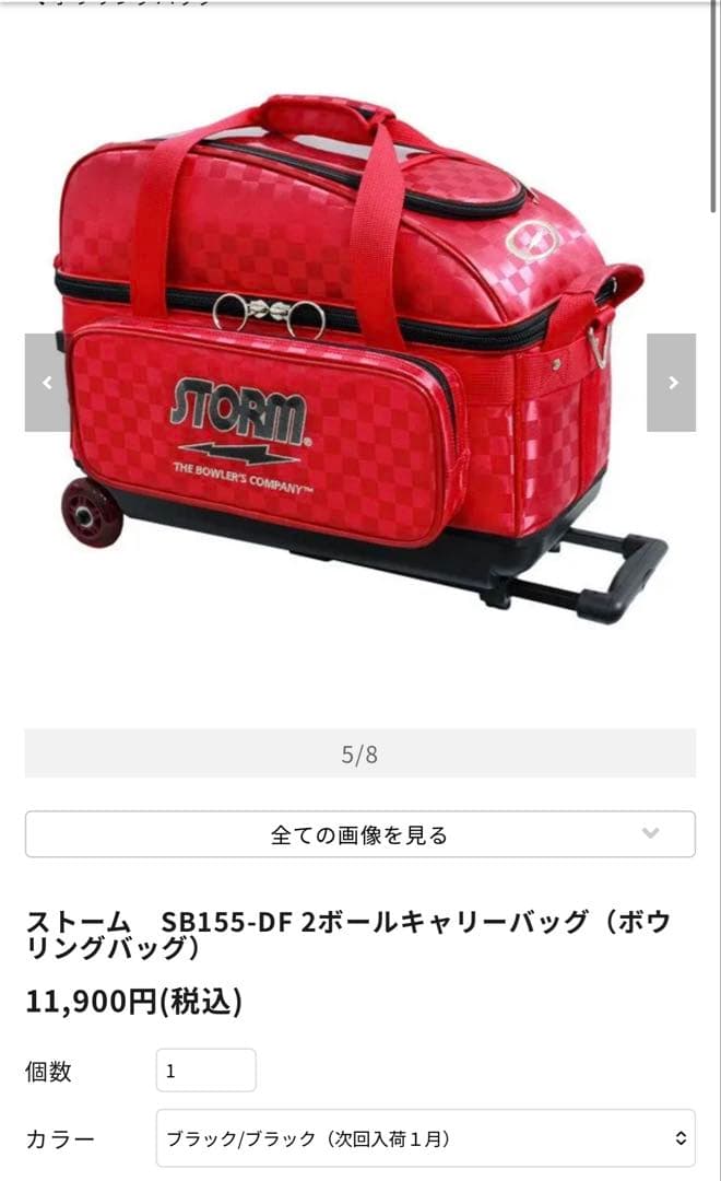 STORM ボールバッグ 2個入り　レッド