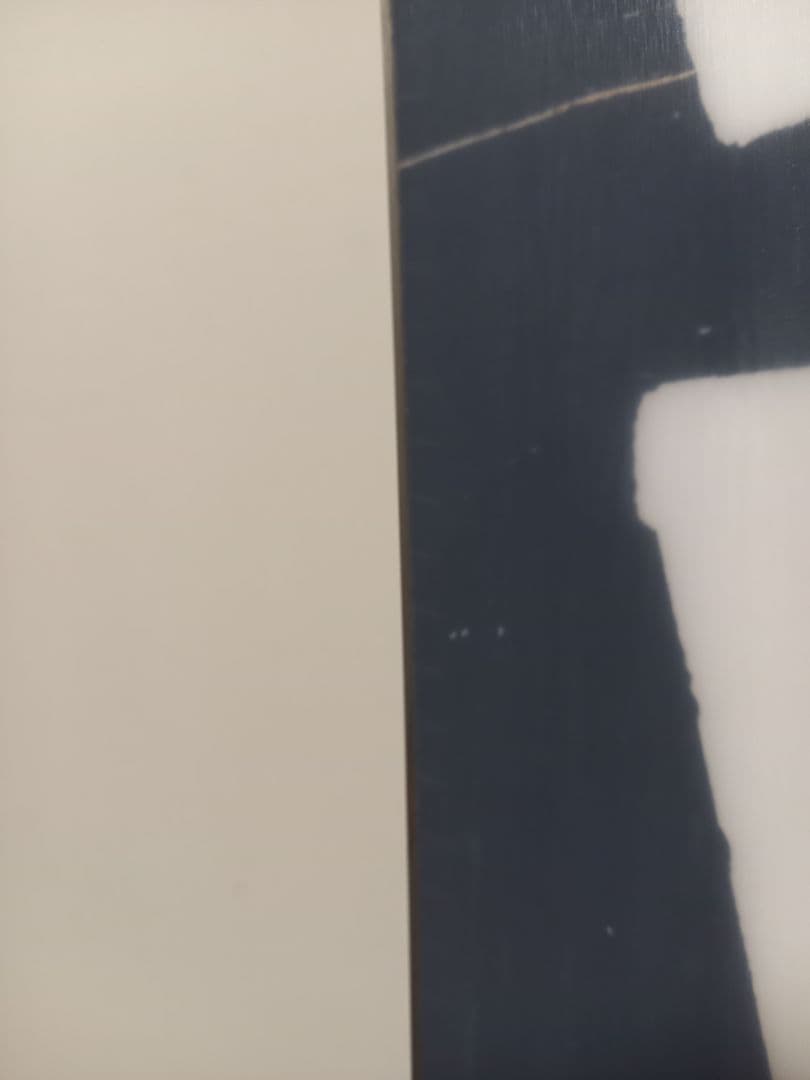 2021-22 ALLIAN アライアン　ダメージ155cm