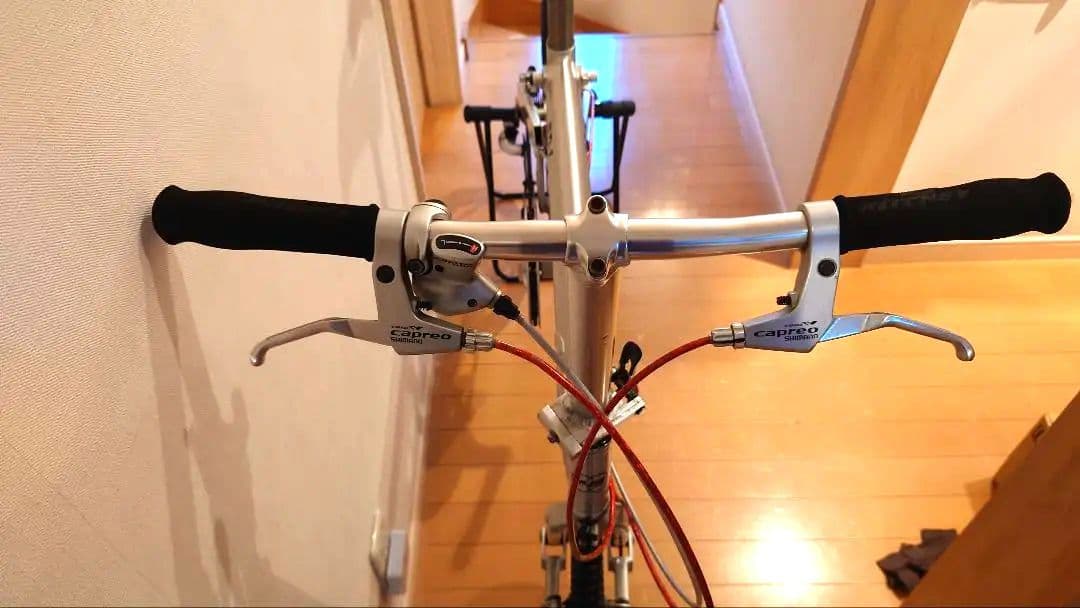 R&M ライズ アンド ミュラー BD-1 peugeot birdy