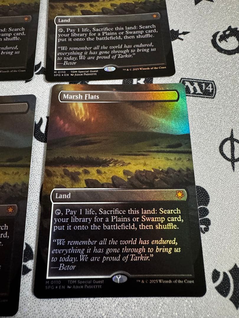 4枚セット 湿地の干潟 foil 英語