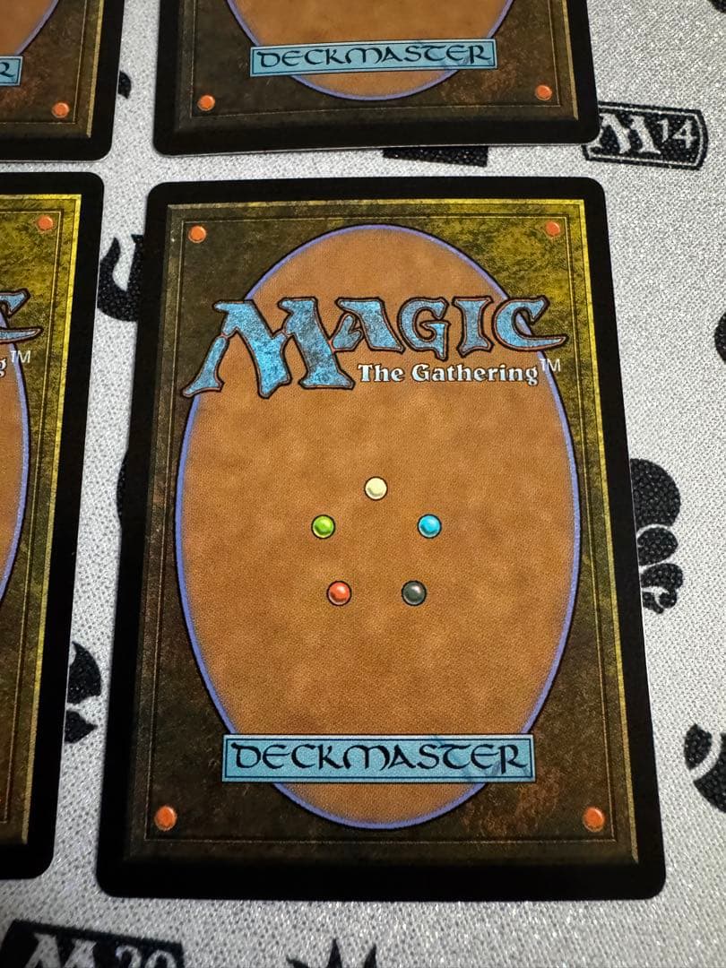 4枚セット 湿地の干潟 foil 英語