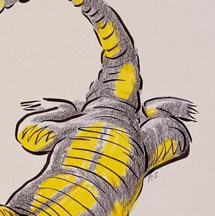 ポージーシモンズ、【そして数ヶ月後】、希少な額装用画集より、新品額装付