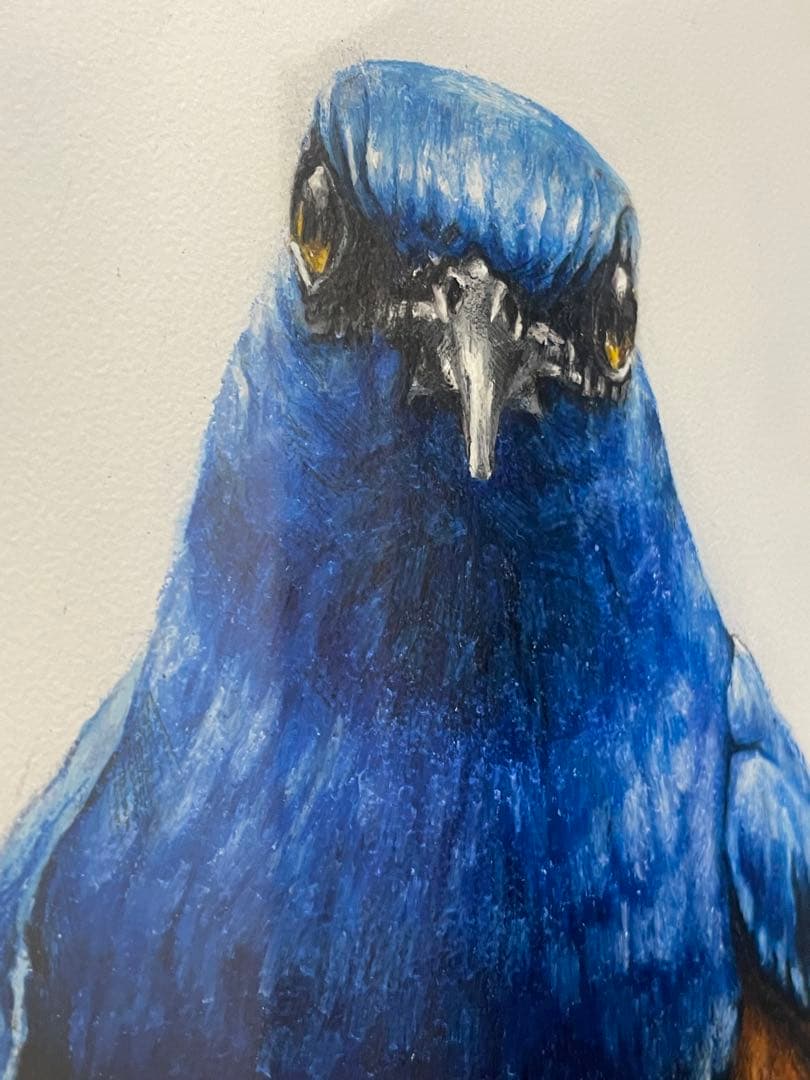 【美品】絵画　青い鳥