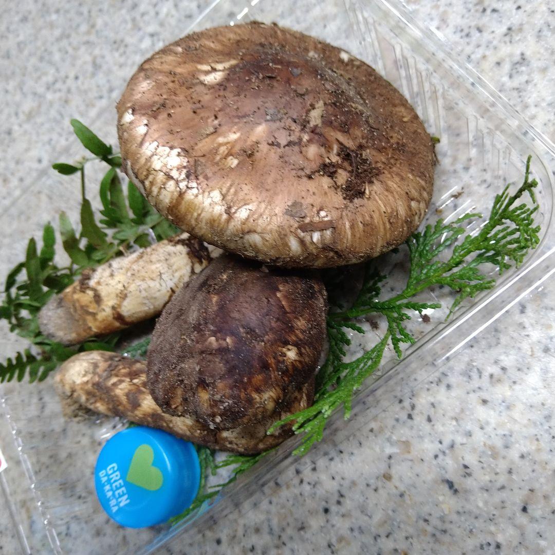 43.南信州産松茸約110g（パック込み）