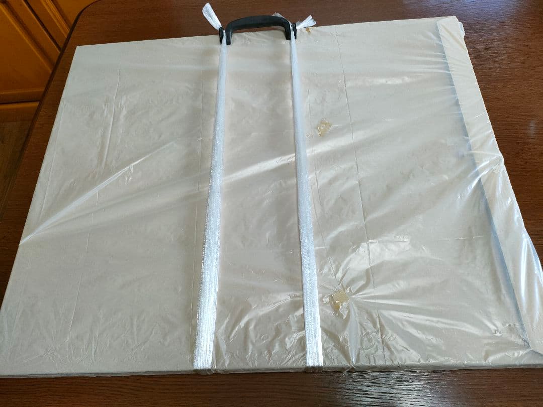 k*i様 藤城清治 Seiji Fujishiro 星空の木馬とピアノ 直筆サイ