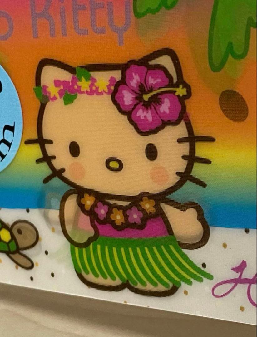 キティ カオハナ　ハイビスカス　水着 日焼け ガングロキティ ハワイグアム