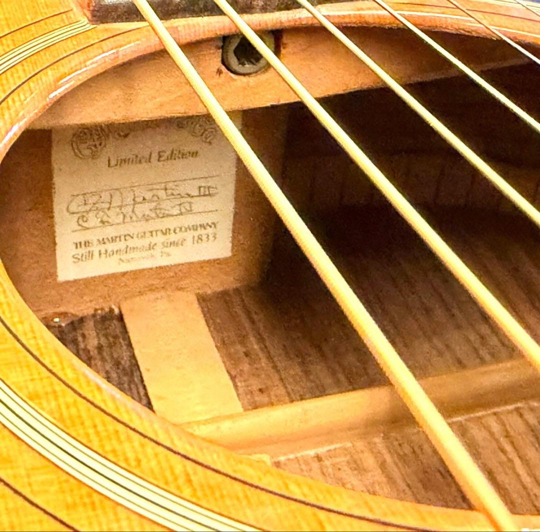 ギター Martin D-21LE MOD