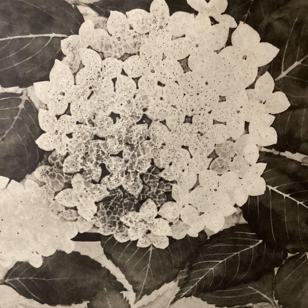 天才画家　速水御舟　便利堂監修　作品大作編　【翠苔緑芝部分紫陽花之図】NO 28