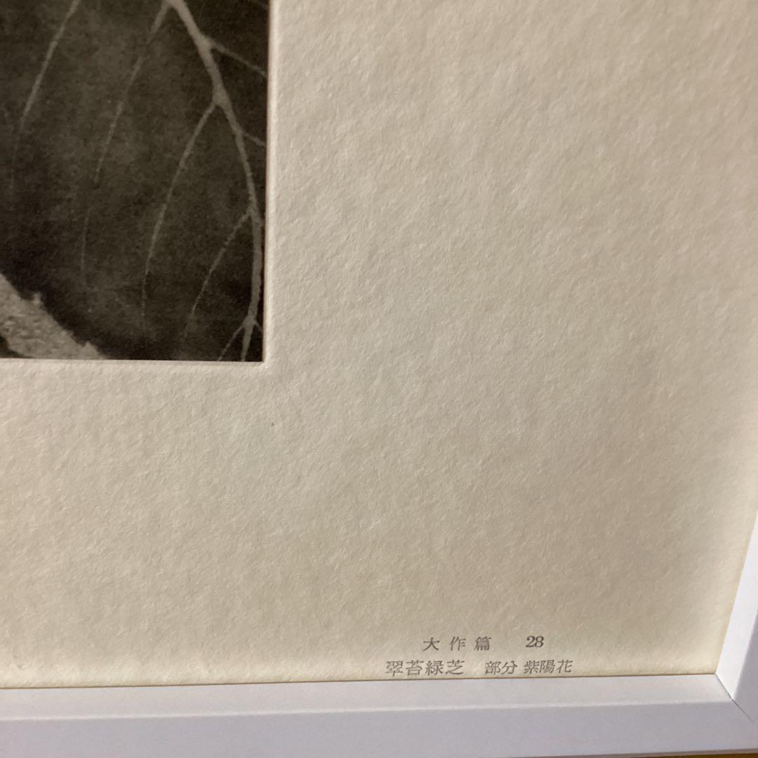 天才画家　速水御舟　便利堂監修　作品大作編　【翠苔緑芝部分紫陽花之図】NO 28