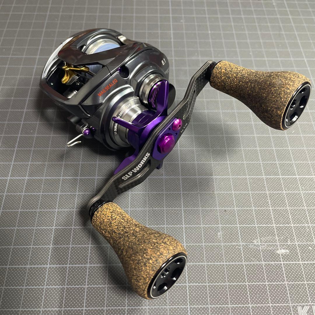 [美品]カスタム　ダイワ　スティーズ STEEZ A TW 1016XH L