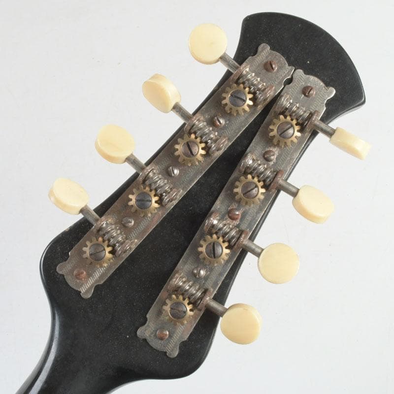 マンドリン　東京師道音楽学校責任制作　№C号　弦・ハードケース付　V　9417A