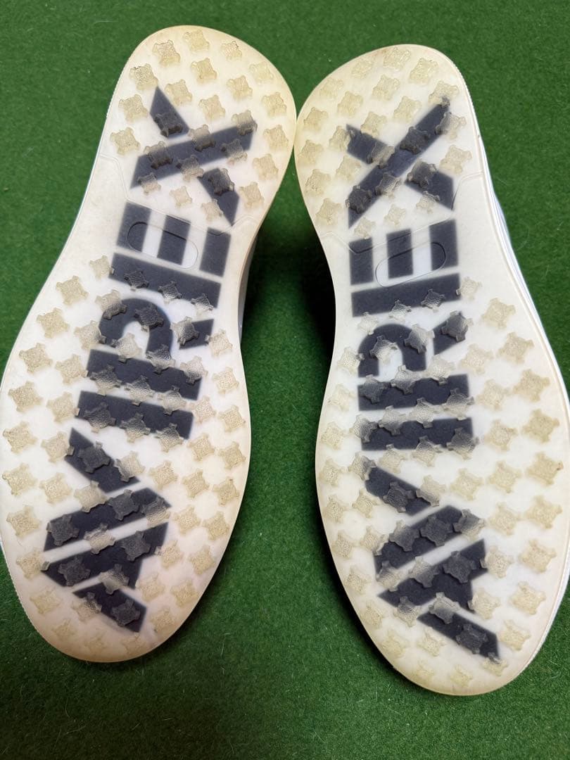 アヴィレックス　AVIREX メンズ　ゴルフ　シューズ