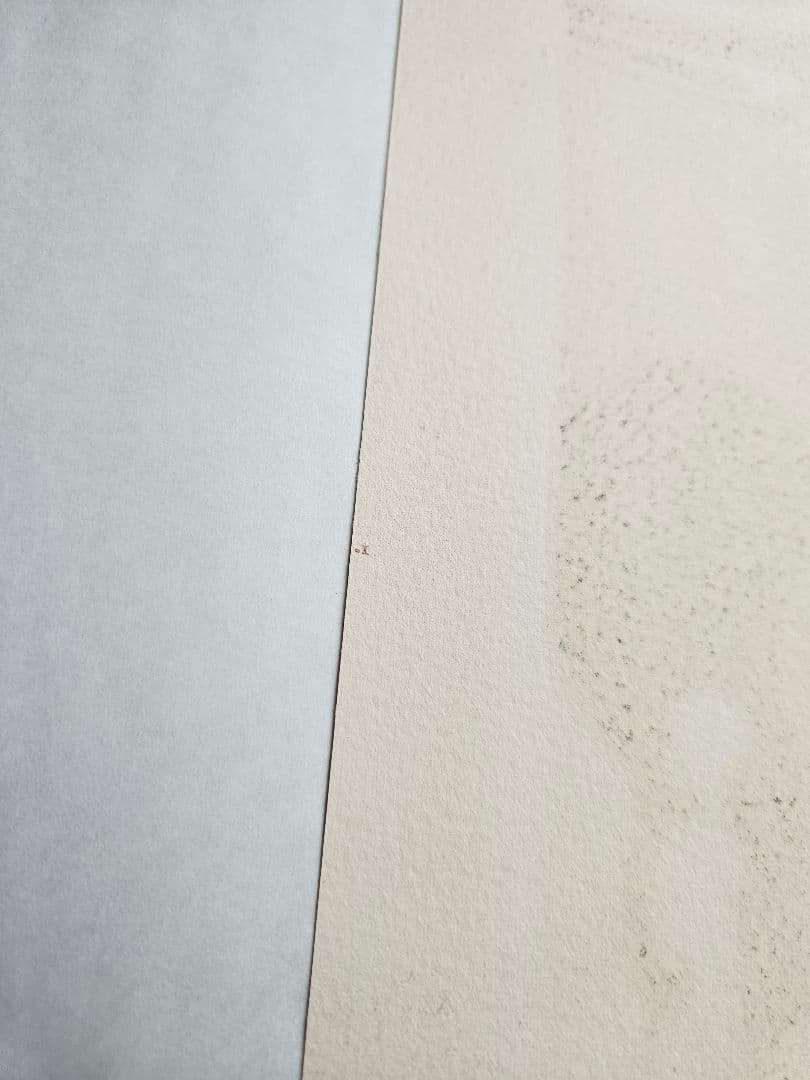 最終お値下げ♪丸尾末広 リトグラフ 青林堂 限定300枚