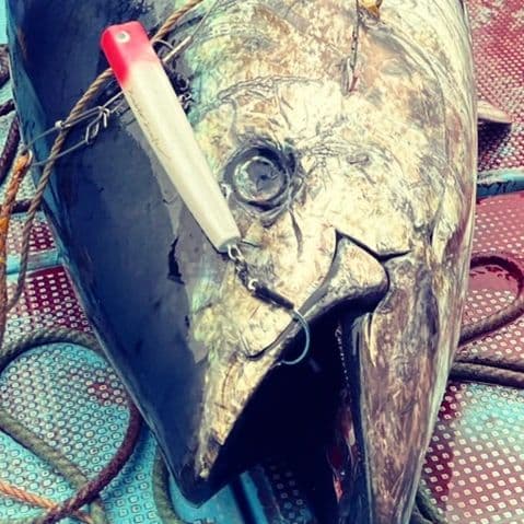 Kaitokraft インヴァイターペンシル　200R-80