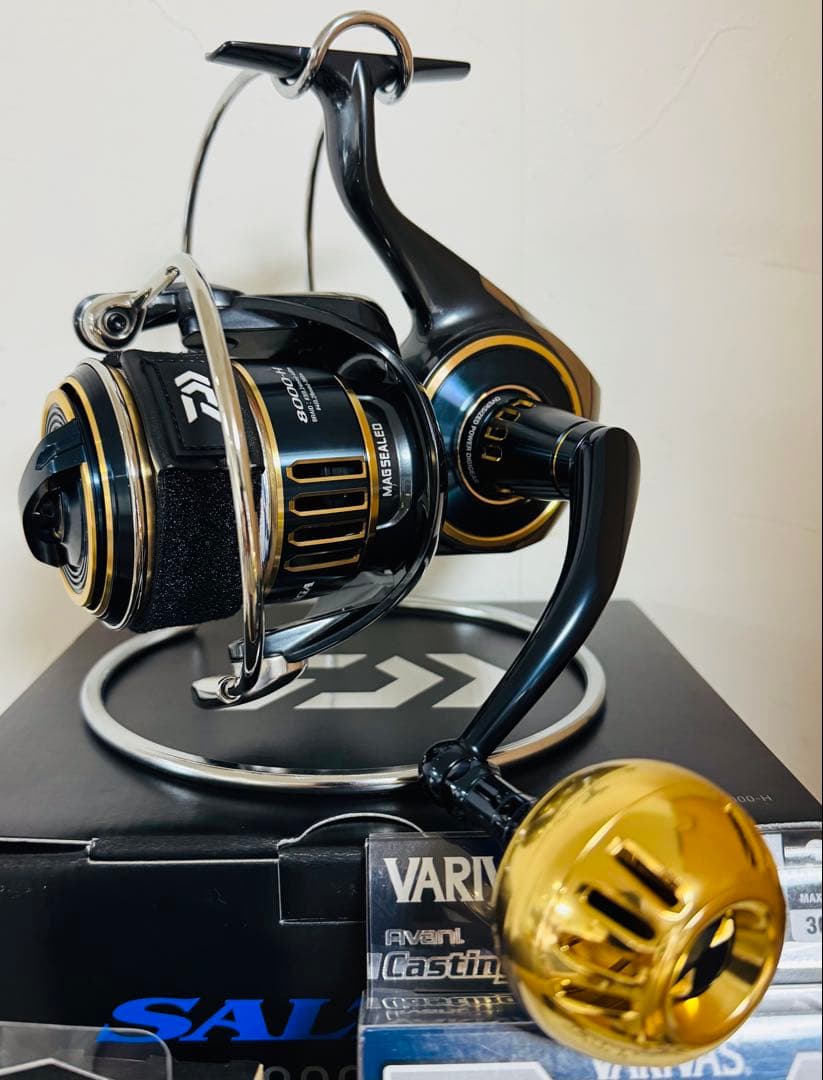 25ソルティガ8000H