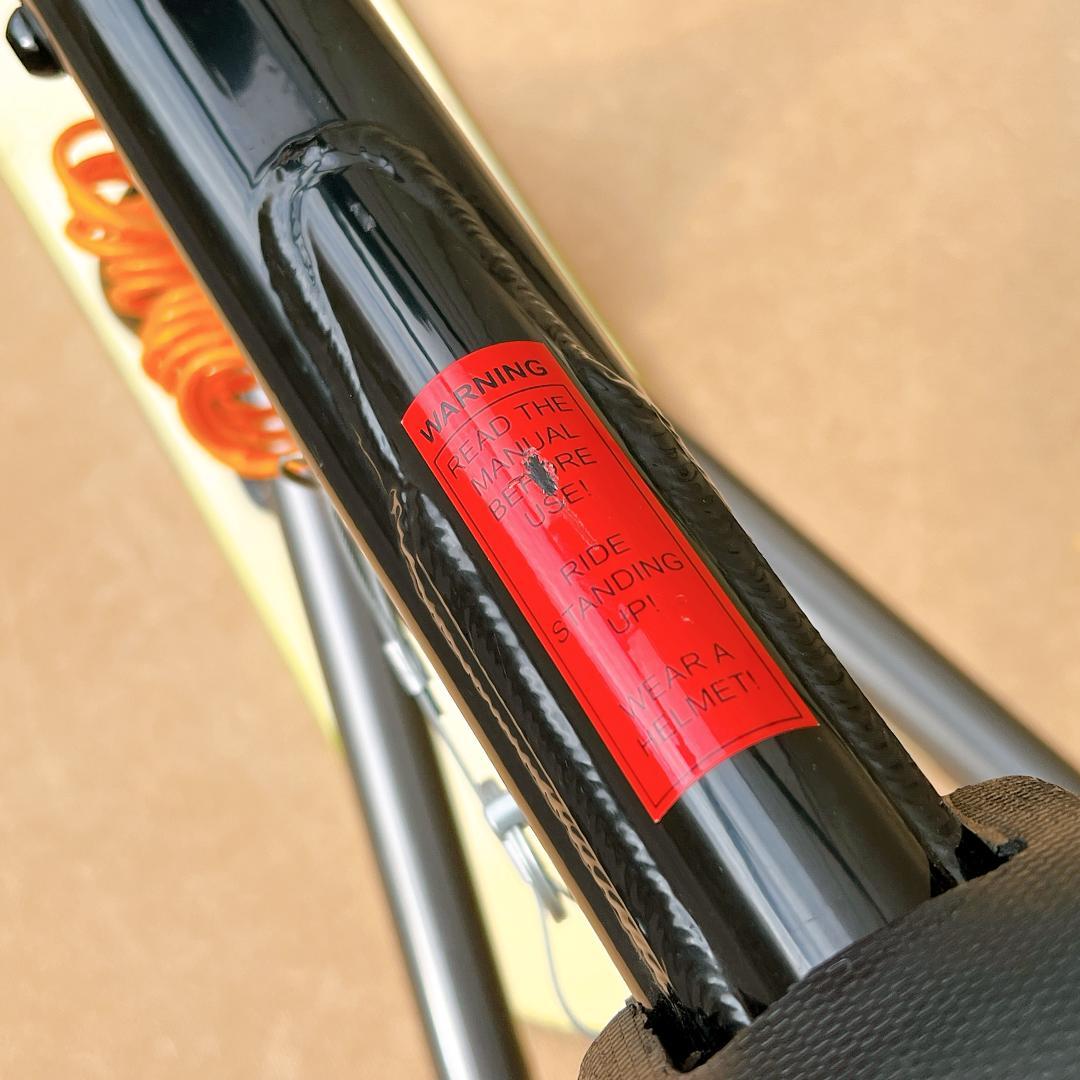 【送料込み✨良品】the lworx スノーモト