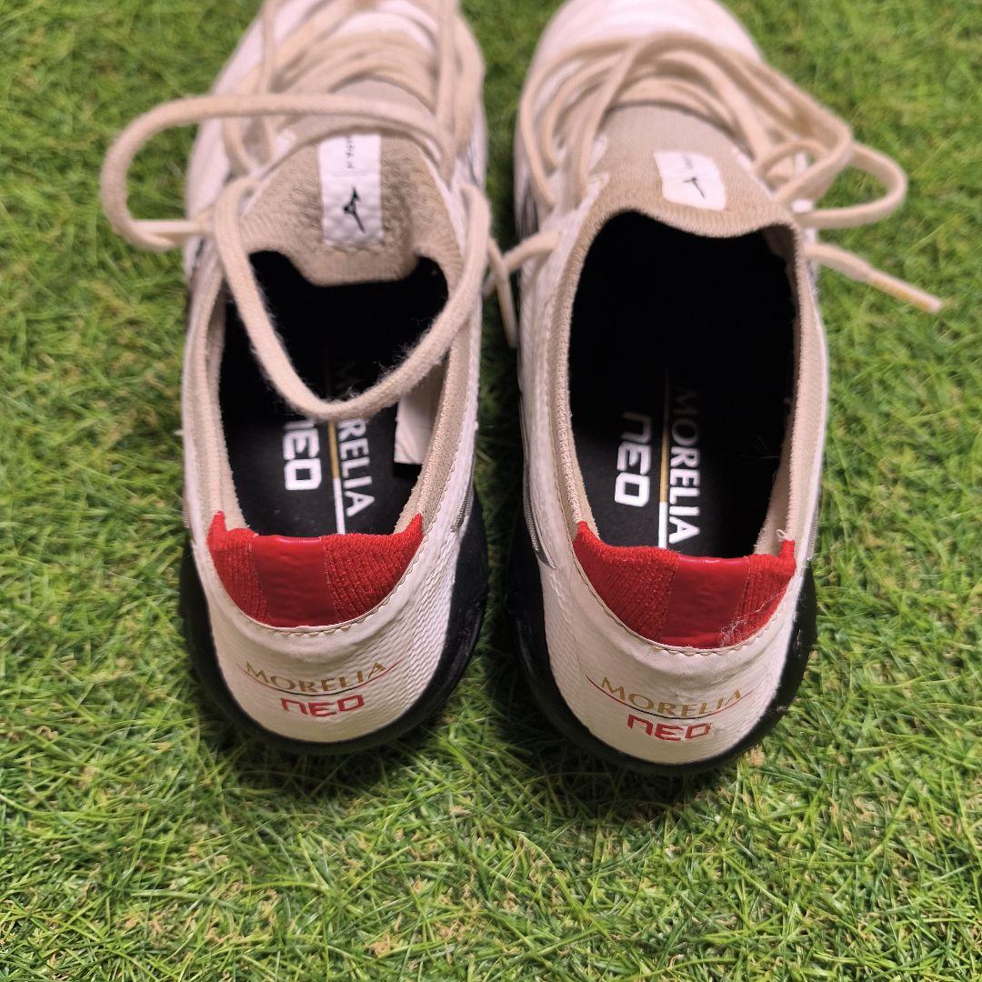 ☆りょう☆Morelia β Japan