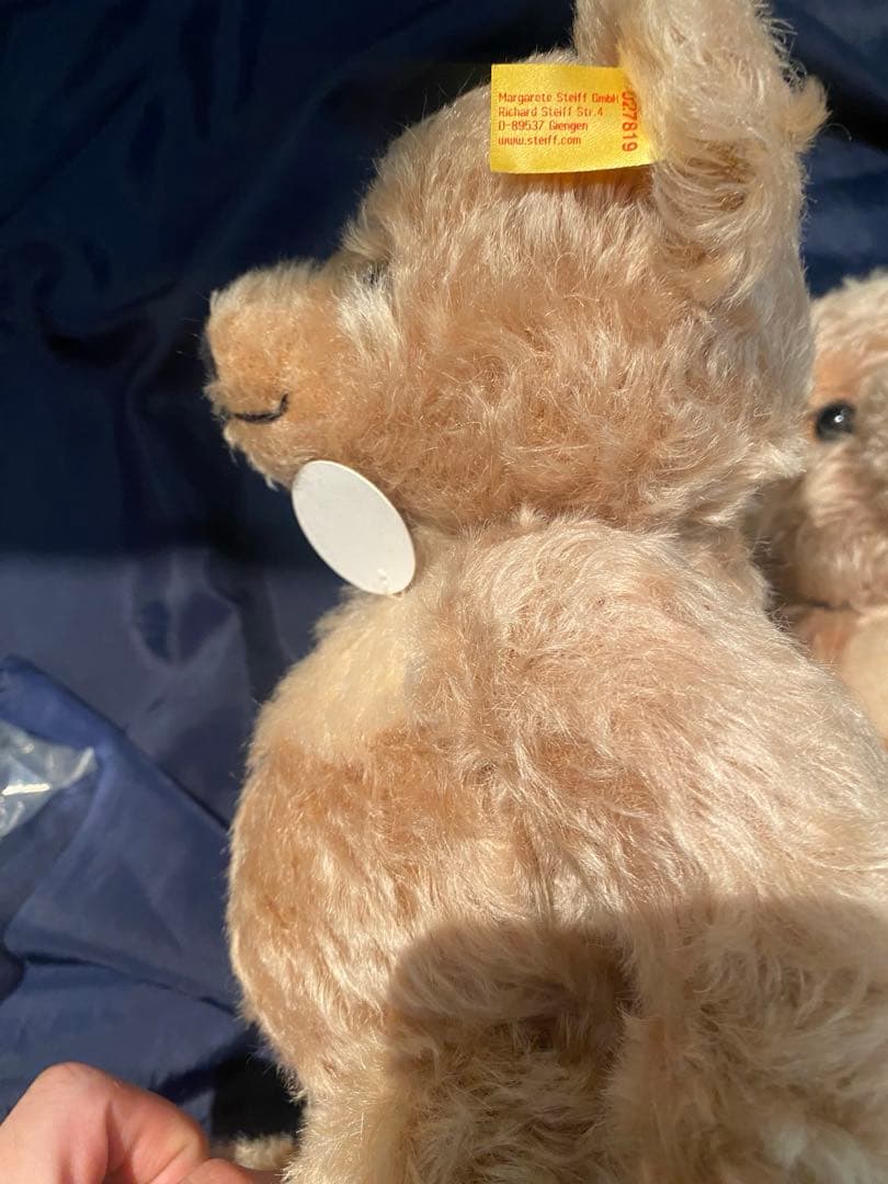 【別種】シュタイフ　テディベア　Paddy　　ぬいぐるみ　くま　パディ　セット