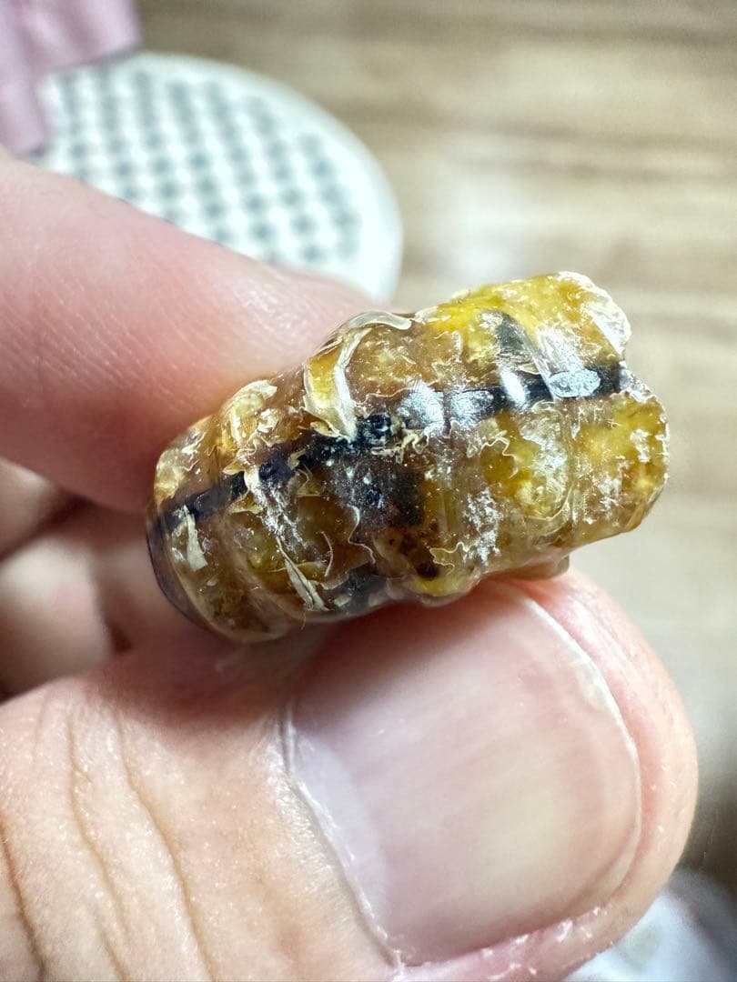 新品　マダガスカルのアンモナイト化石　超大　本物保証　おまけ付き　希少　送料無料