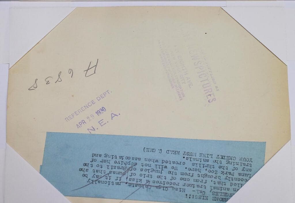 写真　アニマルトレーナー オルガ・セレステ プレスフォト