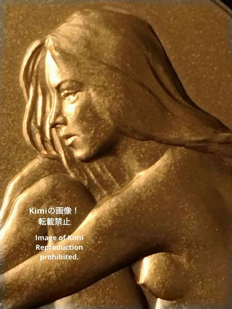 平成5年 1993年 桜の通り抜け 記念 銅 メダル 「花染衣」 記念 日