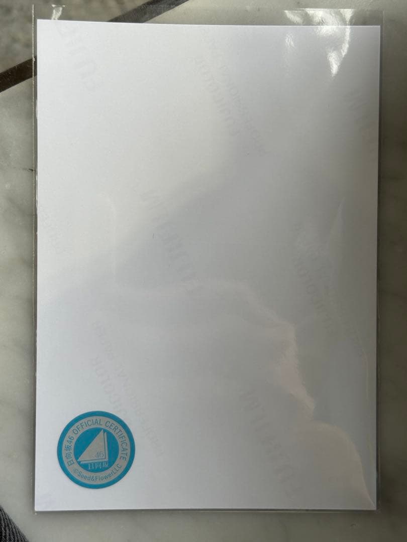 最終値下げ 河田陽菜 サンタ衣装 チュウ 直筆生写真