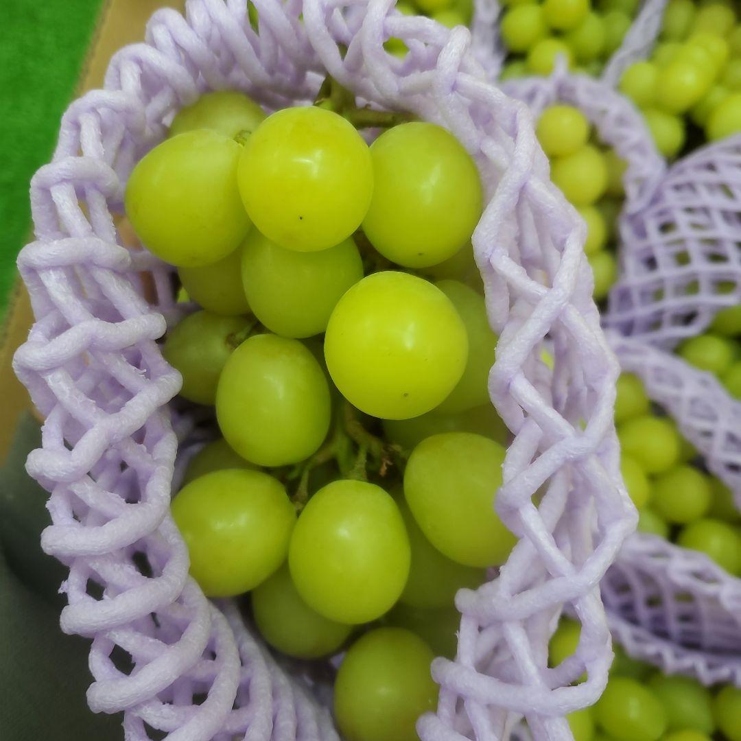 5️⃣ 山梨県産 シャインマスカット １３房入り 箱込み5.4キロ