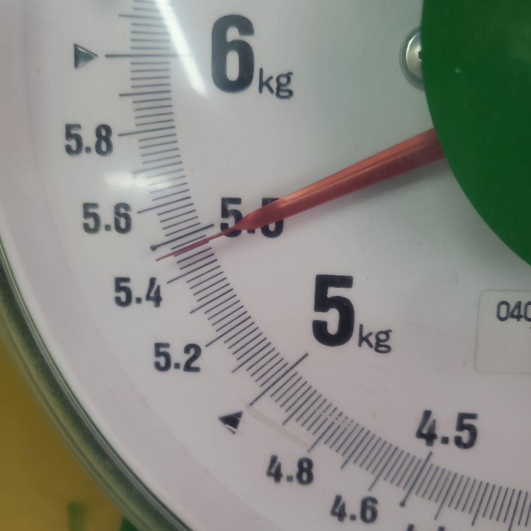 5️⃣ 山梨県産 シャインマスカット １３房入り 箱込み5.4キロ