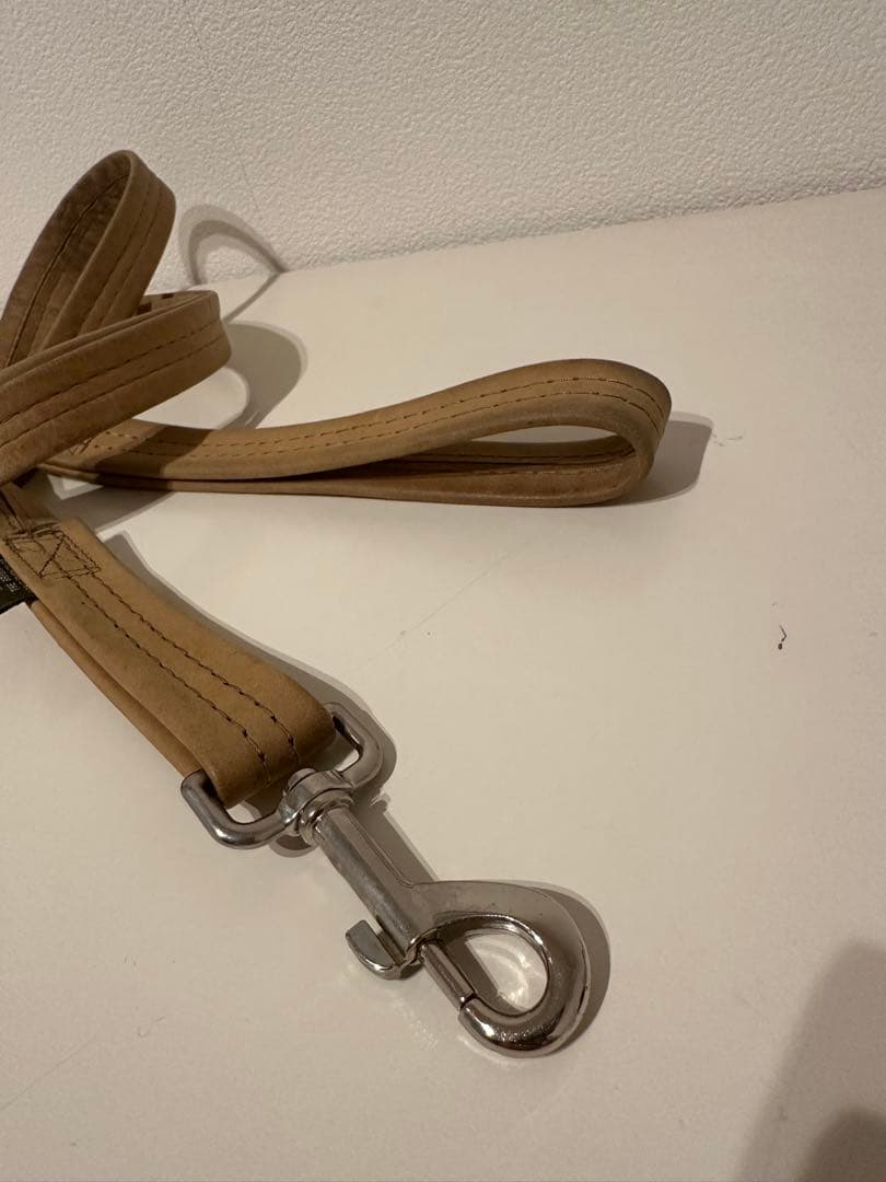 RAINBOW SANDALS DOG LEASH プレミアレザー