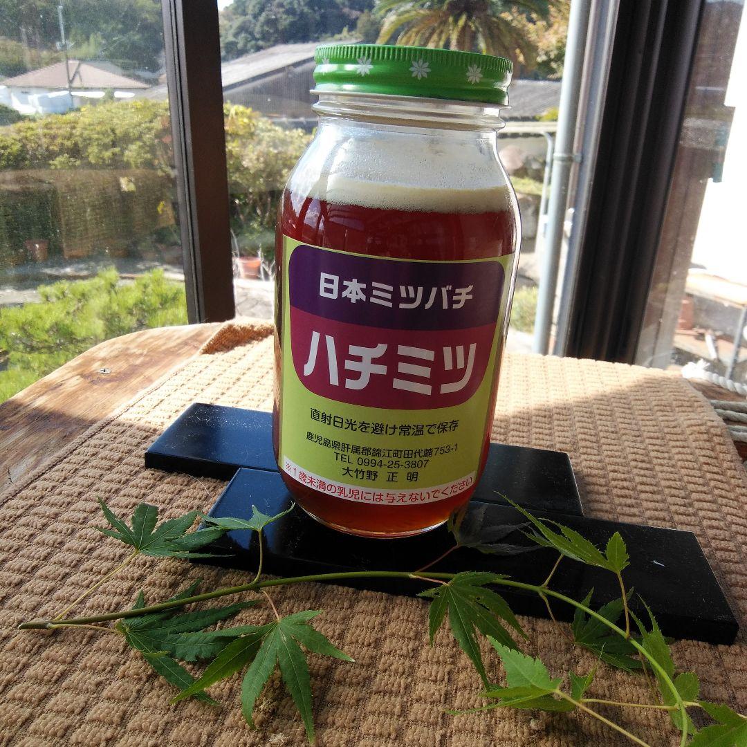 日本ミツバチの日本ミツバチのはちみつ はちみつ 1000g