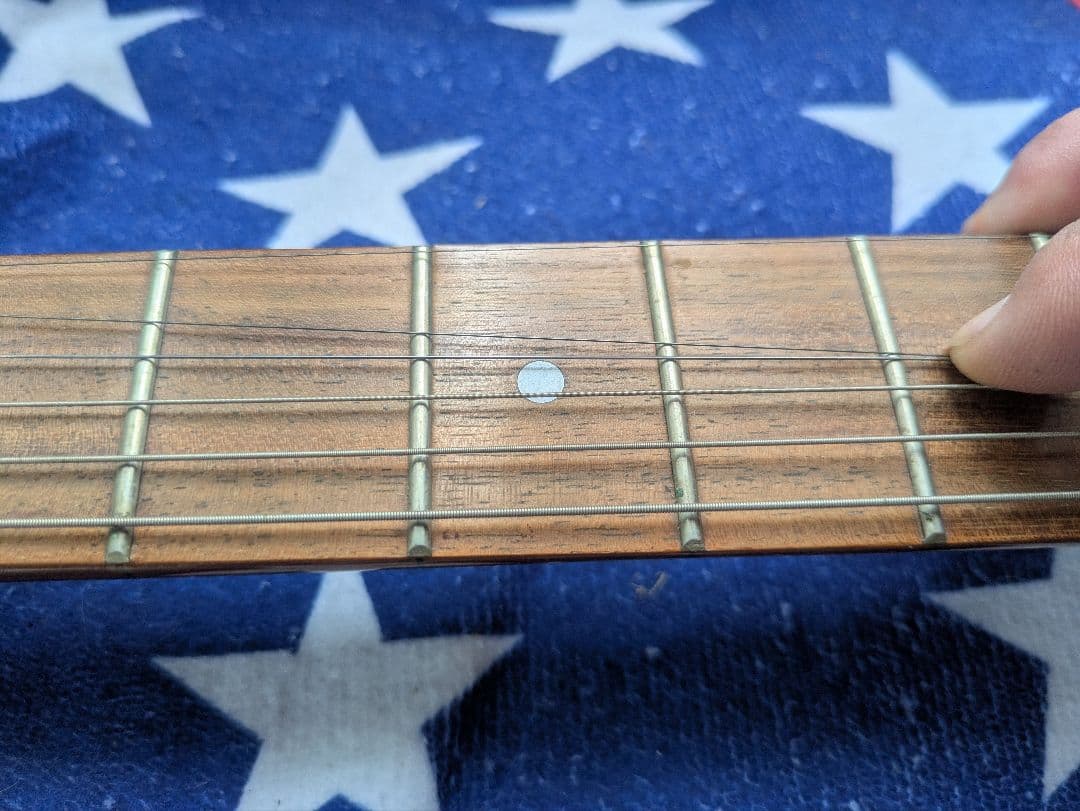 ジミー・ペイジ愛用！　Danelectro エレキギター